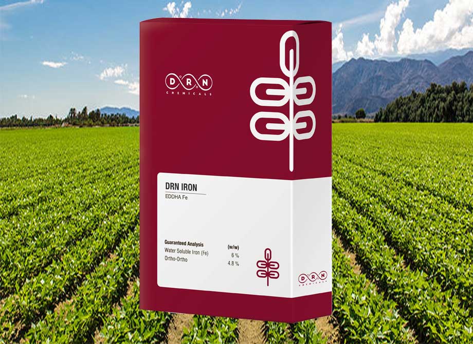 قیمت کود سولفات