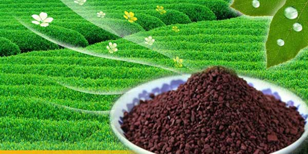 قیمت کود سولفات آهن