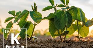 فروشگاه کود کامل