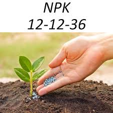 فروش اینترنتی کود