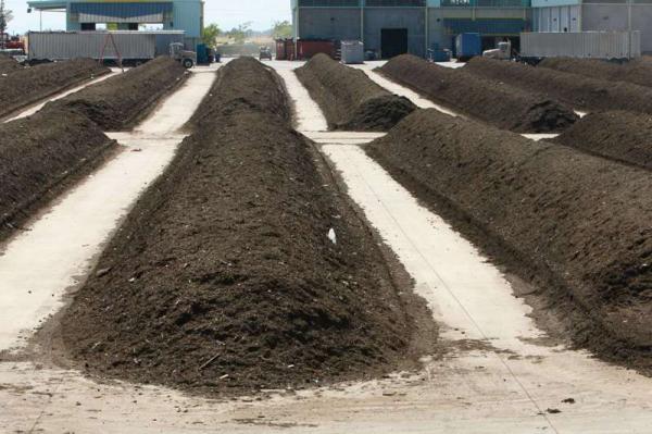 واردات کود مرغی ترکیه ای