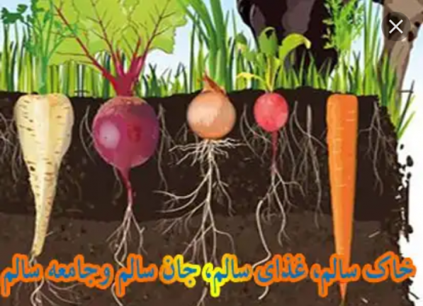 انواع خواص کود هیومیک اسید