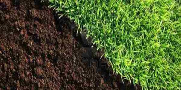 مرکز خرید هیومیک اسید پودری