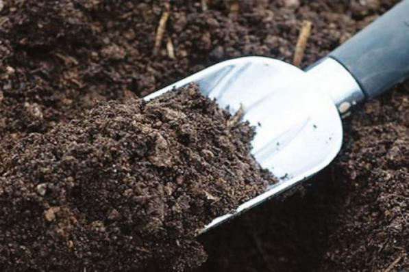 توزیع عمده کود مرغی ارگانیک در بازار داخلی