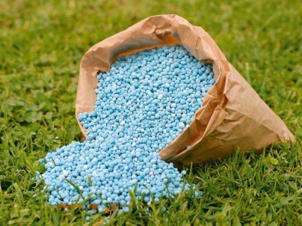 نمایندگی فروش کود مرغی و کود شیمیایی