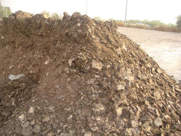 شرکت پخش کود مرغی در کشور