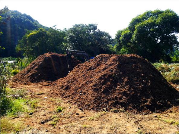 تولید عمده انواع کود های حیوانی در ایران