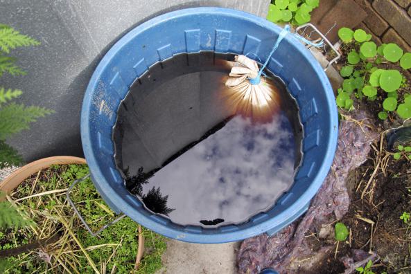 توزیع عمده کود مرغی مایع در سراسر کشور