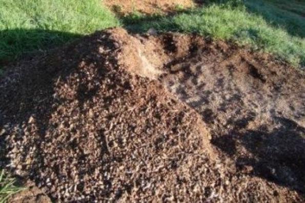 مزیت های استفاده از کود مرغی در کشاورزی