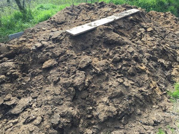 صادرات عمده کود مرغی باکیفیت در ایران