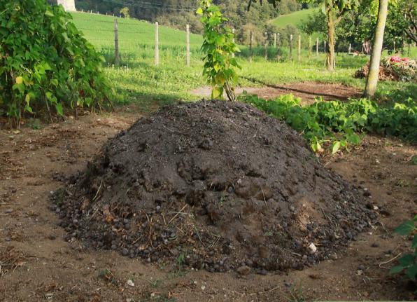 مرکز خرید کود کشاورزی در تهران