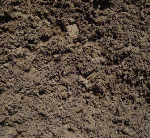 مهمترین کاربردهای کود مرغی پلیتی