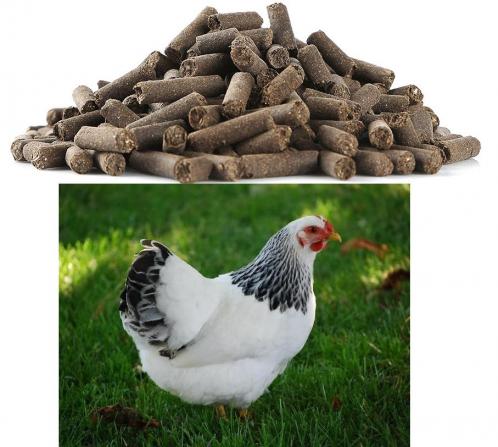 مشخصات کود های مرغی فراوری شده