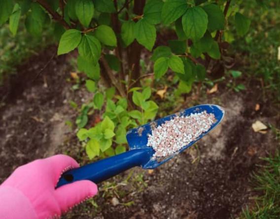 تضمین کیفیت انواع کود های سه بیست برای خریداران