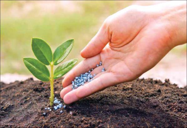 خرید اینترنتی کود سه بیست