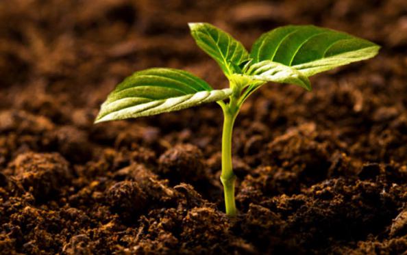 عملکرد خط تولید کود 3 بیست 