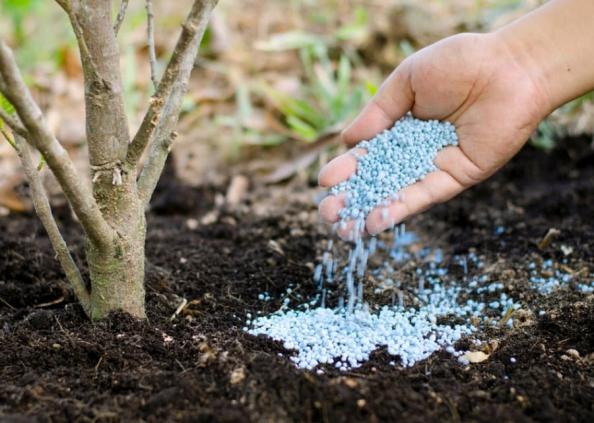 نمایندگی فروش کود سه بیست در مشهد