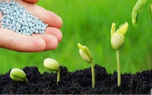 خریدار انواع کود کامل npk 20-20-20