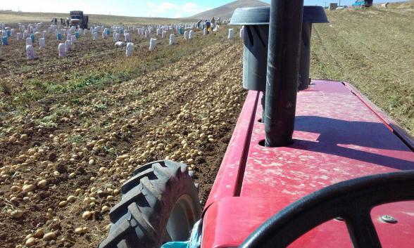 واردات کود سه بیست پودری از هلند