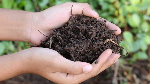 خرید عمده کود NPK مرغوب