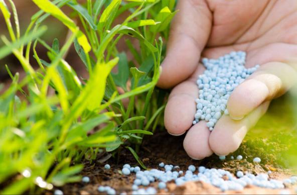 نحوه استفاده از کود ماکرو برای گلخانه ها