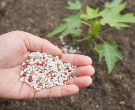 پخش عده کود سه بیست برای گیاهان