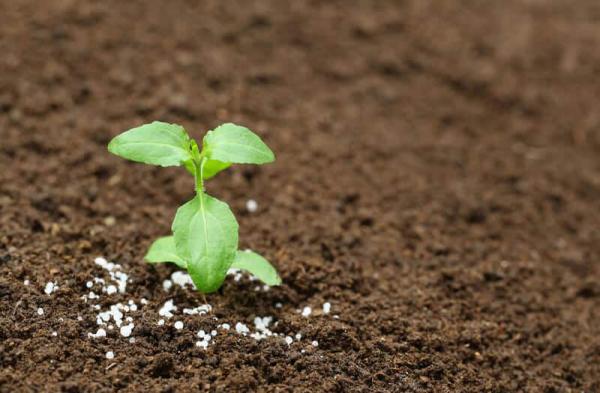 توزیع کود سه بیست npk کامل