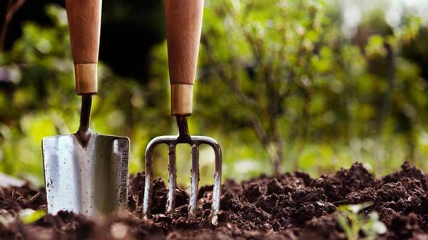 شرکت های صادر کننده کود سه بیست به خارج کشور