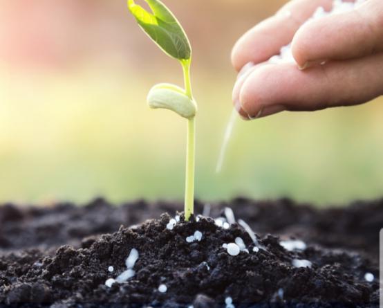 صادرات کود سه بیست به خارج از کشور