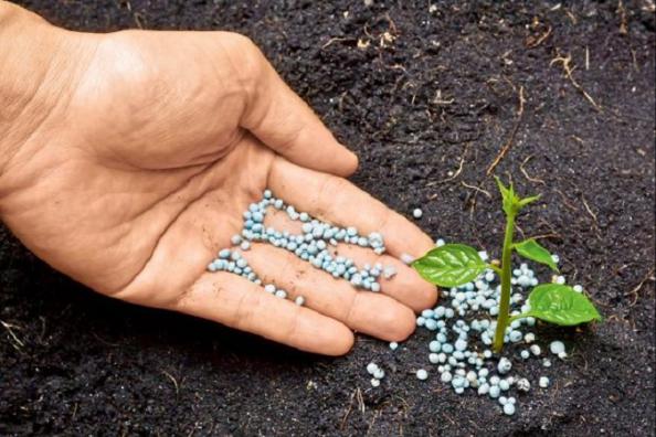 کارخانه ی تولید کود npk در مشهد