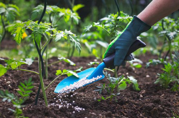 توزیع کود npk خارجی در ایران