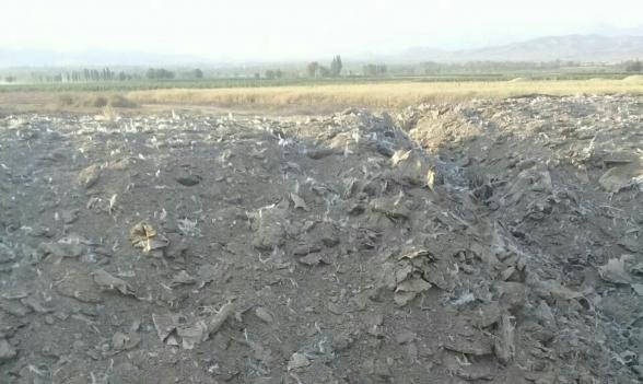 روش ساخت کود سه بیست مرغوب