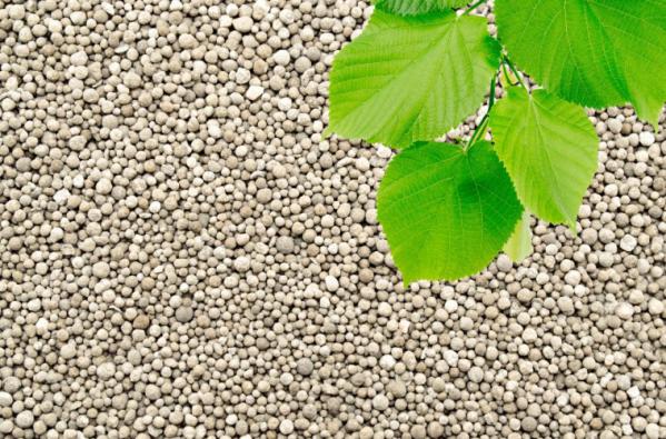 شرکت های صادرکننده کود npk به خارج کشور