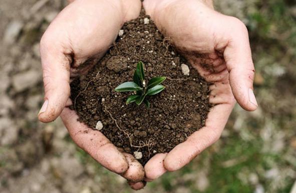 انواع کود سه بیست در بسته های متفاوت