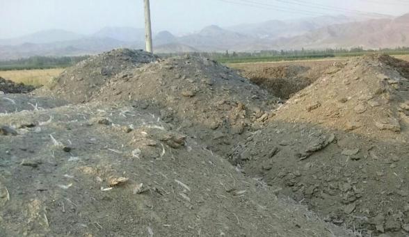 تفاوت قیمت کود سه بیست ایرانی و خارجی