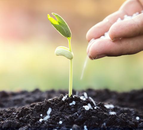 فروش کود سه بیست برنج در ایران