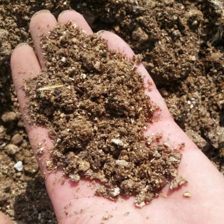 بهترین کود سه بیست برای گیاهان