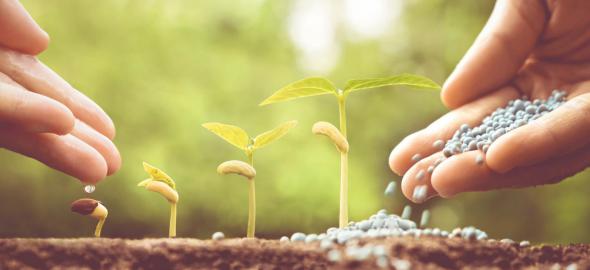 فروش عمده انواع کود سه بیست پودری