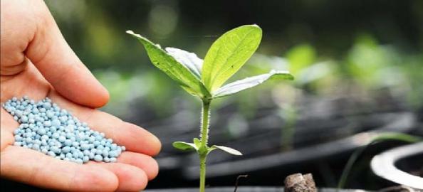 کارخانه تولید کود سه بیست در تهران