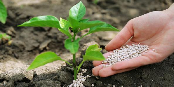 مرکز پخش انواع کود سه بیست خارجی در تهران