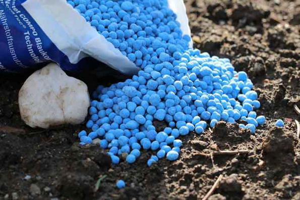 قیمت فروش عمده کود ۲۰ ۲۰ ۲۰ پسته 