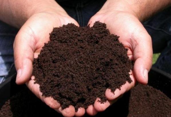 قیمت عرضه مستقیم کود سولوپتاس گوجه