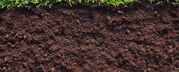 بهترین تولید کننده کود نیترات کلسیم هندوانه