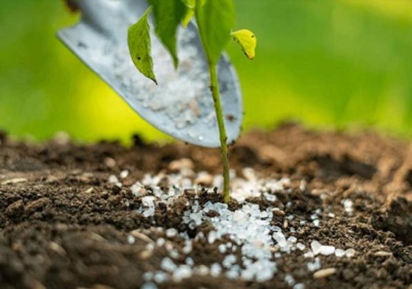 نحوه تشخیص کیفیت کود سولو پتاس 