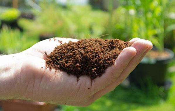 معایب استفاده از کود سولوپتاس 