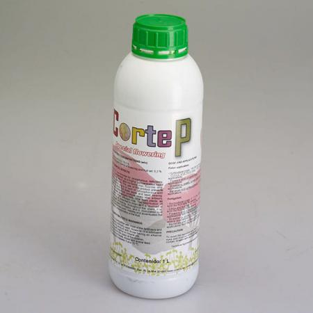 قیمت روز کود نیترات کلسیم پسته در بازار