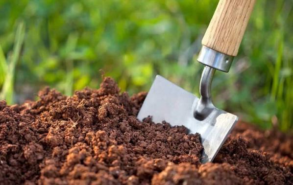 فروشنده بهترین کود سولوپتاس هلندی