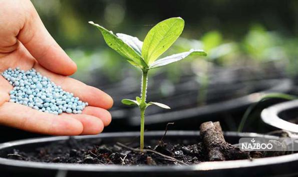 موارد مصرف و مزایای کود ۲۰ ۲۰ ۲۰