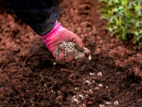 پخش کننده کود مرغی مایع باکیفیت